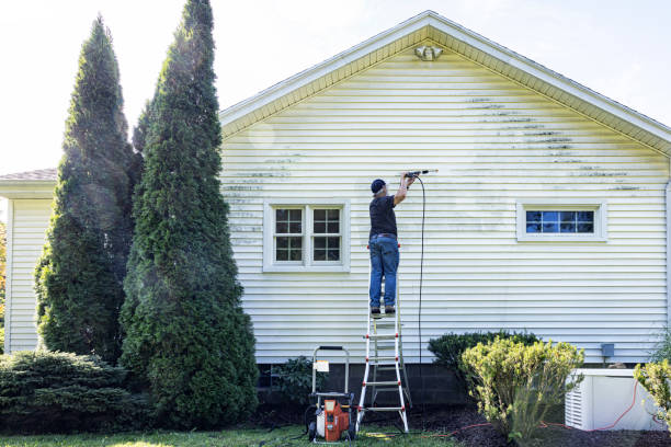 Best Driveway Pressure Washing  in Lapwai, ID